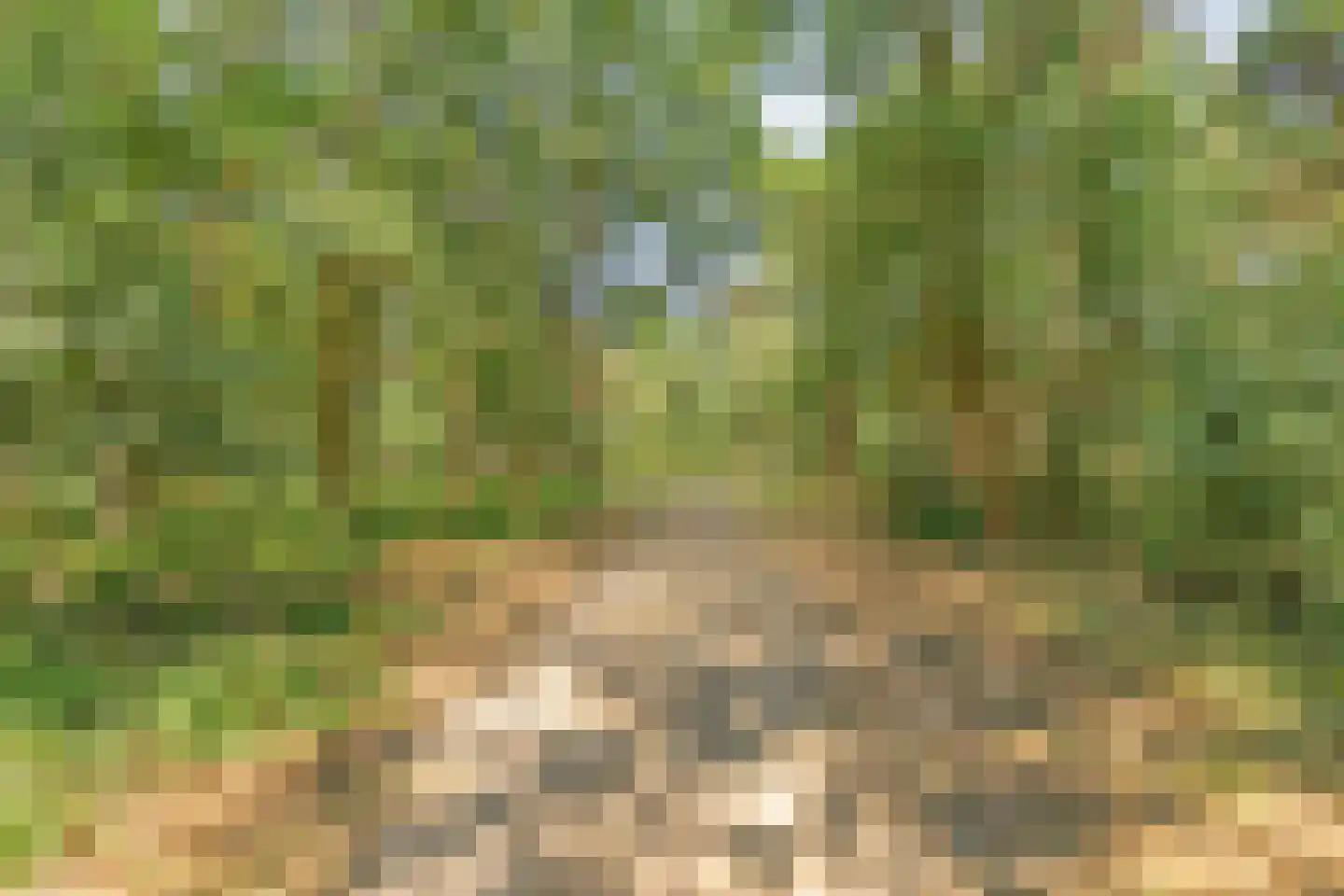 Kranenberg 31 Casteren thumbnail 57