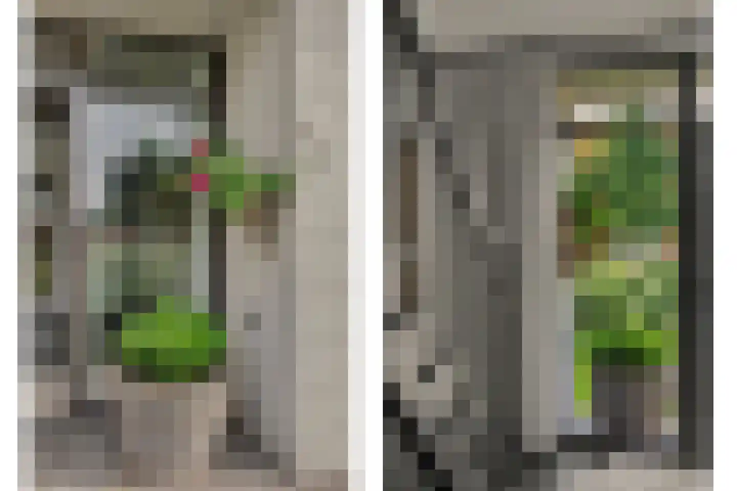 Kranenberg 8 Casteren thumbnail 10