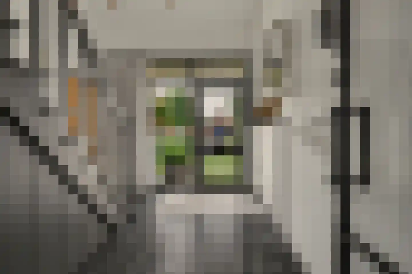 Kranenberg 8 Casteren thumbnail 11