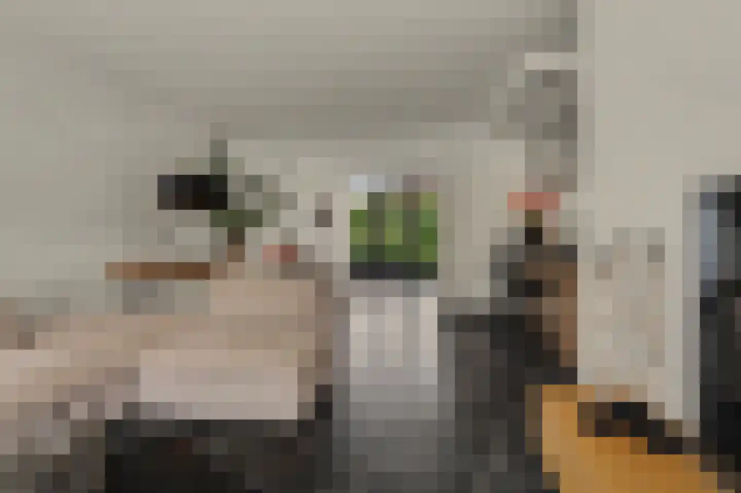 Kranenberg 8 Casteren thumbnail 18