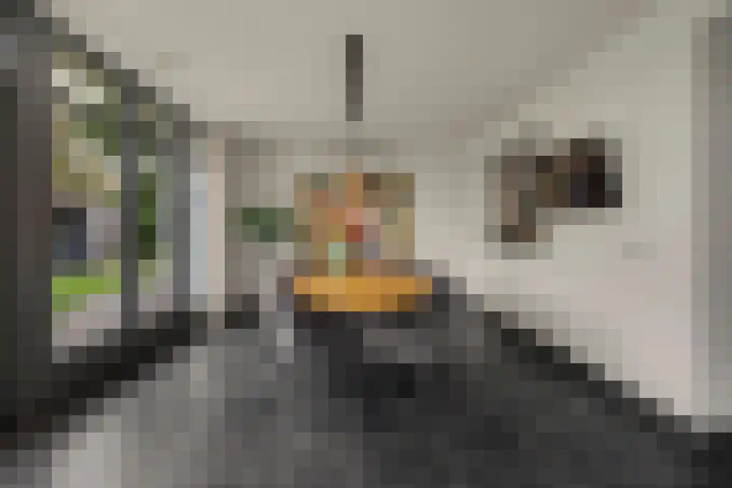 Kranenberg 8 Casteren thumbnail 22
