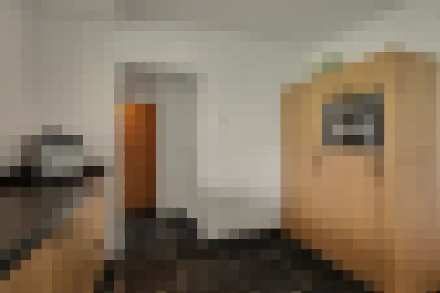 Kranenberg 8 Casteren thumbnail 29
