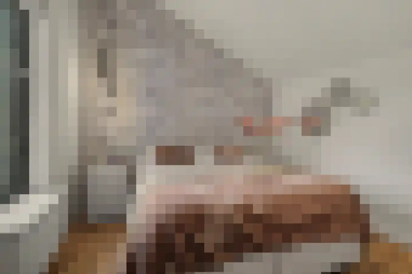 Kranenberg 8 Casteren thumbnail 38