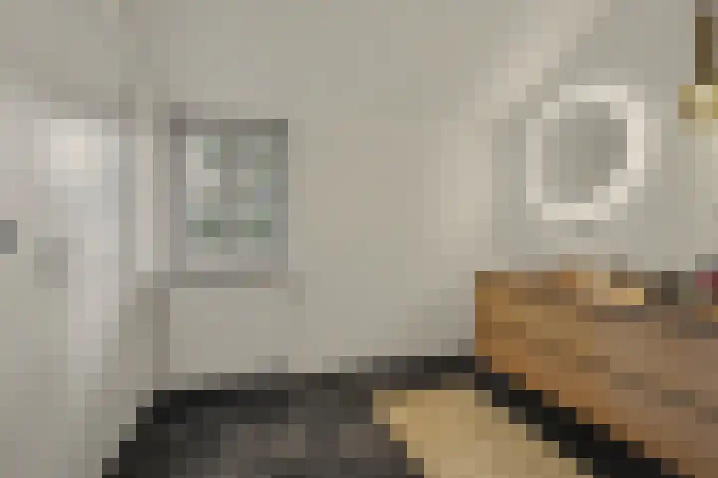 Kranenberg 8 Casteren thumbnail 42