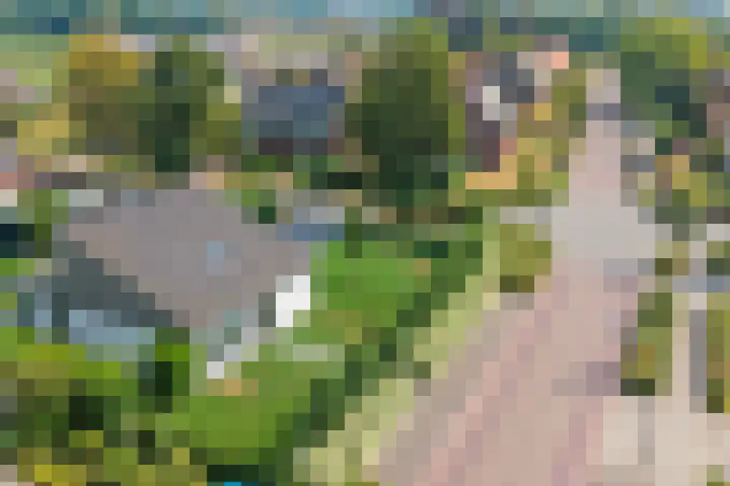 Kranenberg 8 Casteren thumbnail 5
