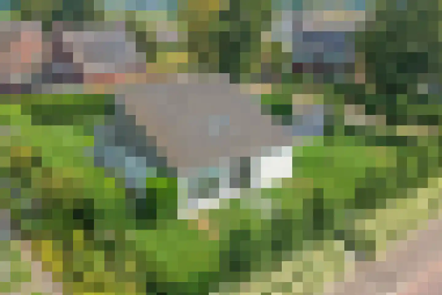 Kranenberg 8 Casteren thumbnail 63