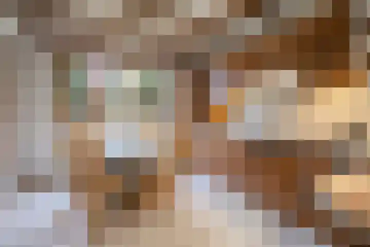 Kranenbroekerweg 26 Echt thumbnail 12