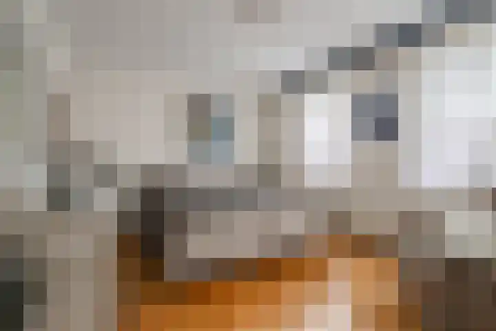 Kranenbroekerweg 26 Echt thumbnail 13