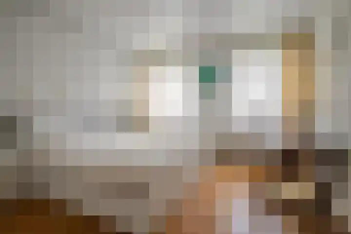 Kranenbroekerweg 26 Echt thumbnail 14