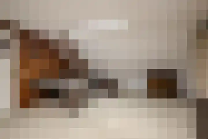 Kranenbroekerweg 26 Echt thumbnail 18