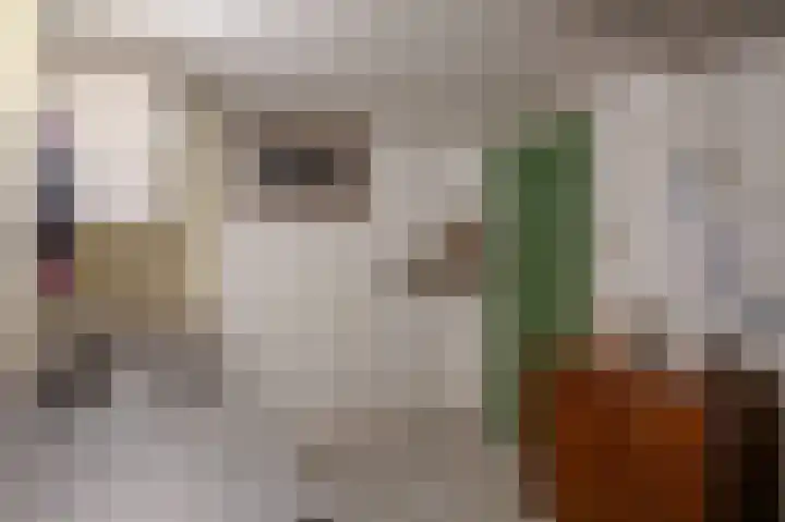 Kranenbroekerweg 26 Echt thumbnail 27