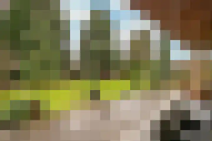 Kranenbroekerweg 26 Echt thumbnail 29