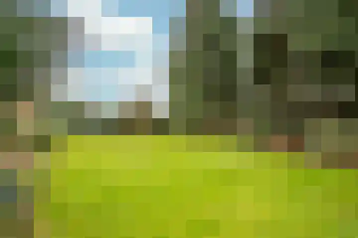 Kranenbroekerweg 26 Echt thumbnail 30