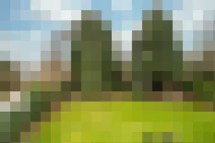 Kranenbroekerweg 26 Echt thumbnail 31