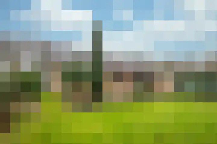 Kranenbroekerweg 26 Echt thumbnail 32
