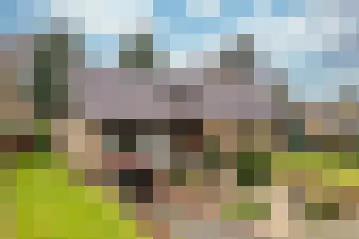 Kranenbroekerweg 26 Echt thumbnail 35