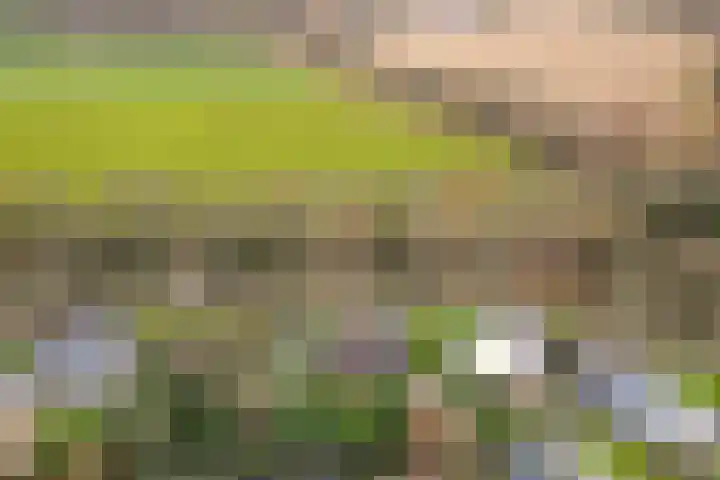 Kranenbroekerweg 26 Echt thumbnail 38