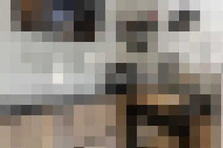 Kranenbroekhof 17 Zaandam thumbnail 12