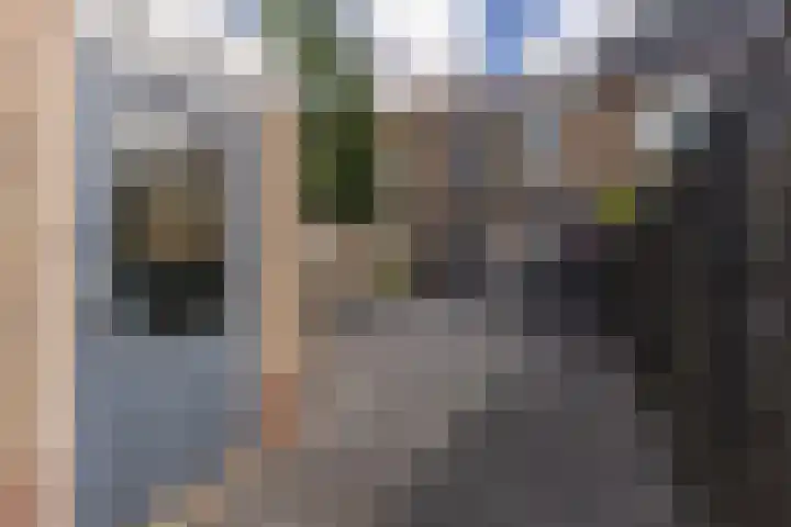 Kranenbroekhof 17 Zaandam thumbnail 17