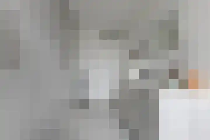 Kranenbroekhof 17 Zaandam thumbnail 20