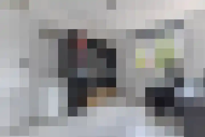 Kranenbroekhof 17 Zaandam thumbnail 23