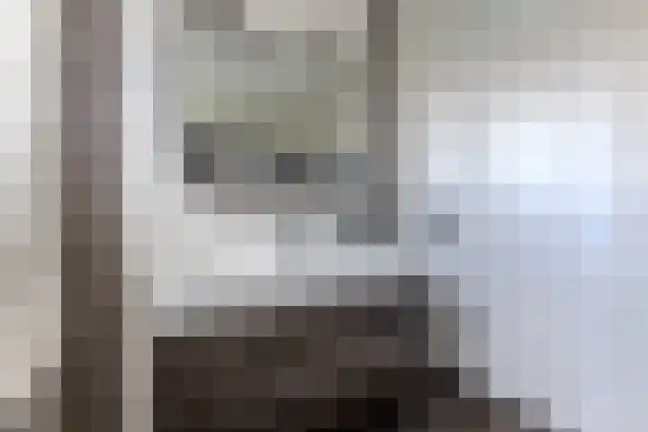 Kranenbroekhof 17 Zaandam thumbnail 28