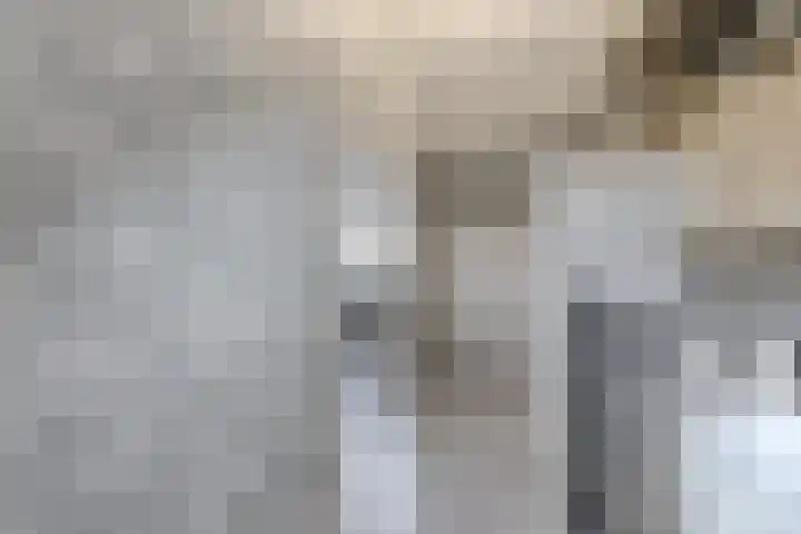 Kranenbroekhof 17 Zaandam thumbnail 30