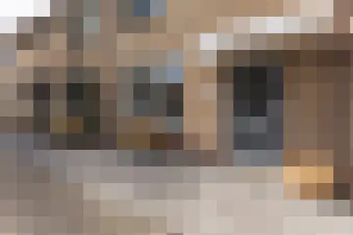 Kranenbroekhof 17 Zaandam thumbnail 5