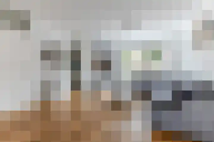 Kranenbroekhof 17 Zaandam thumbnail 8