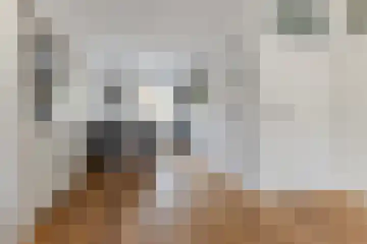 Kranenbroekhof 17 Zaandam thumbnail 9
