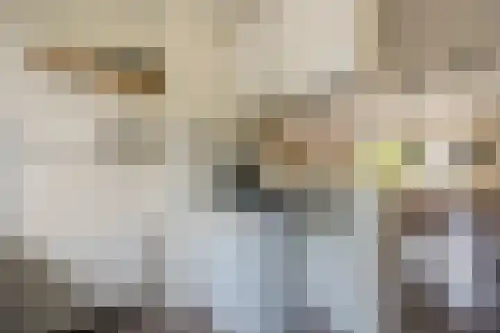 Kranenbroekhof 2 Zaandam thumbnail 10
