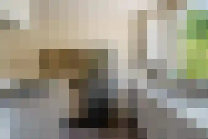 Kranenbroekhof 2 Zaandam thumbnail 11