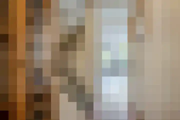 Kranenbroekhof 2 Zaandam thumbnail 13