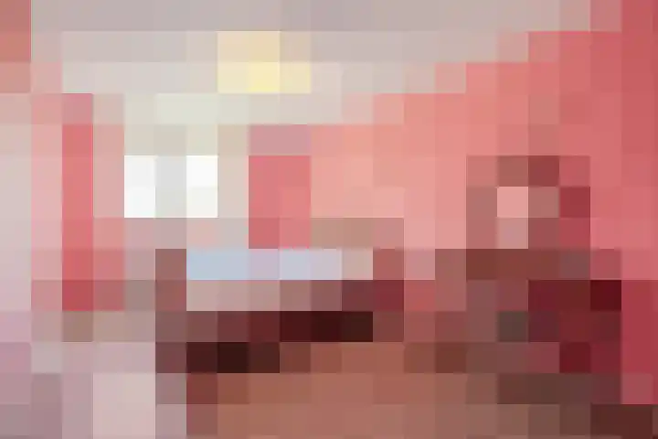 Kranenbroekhof 2 Zaandam thumbnail 14