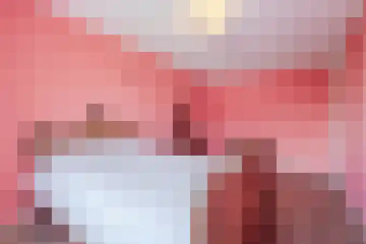 Kranenbroekhof 2 Zaandam thumbnail 15