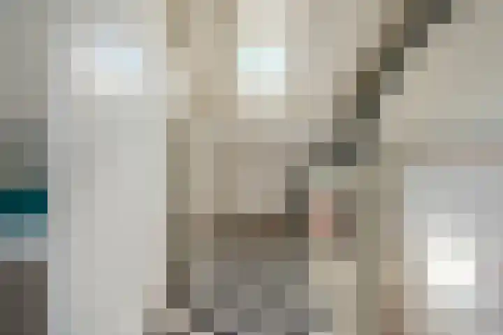 Kranenbroekhof 2 Zaandam thumbnail 24