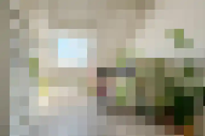 Kranenbroekhof 2 Zaandam thumbnail 26