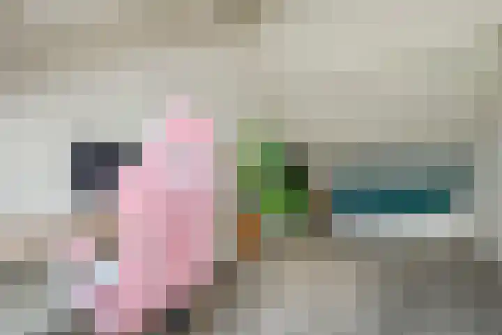 Kranenbroekhof 2 Zaandam thumbnail 27