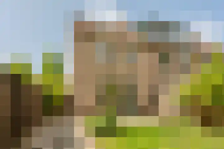 Kranenbroekhof 2 Zaandam thumbnail 29
