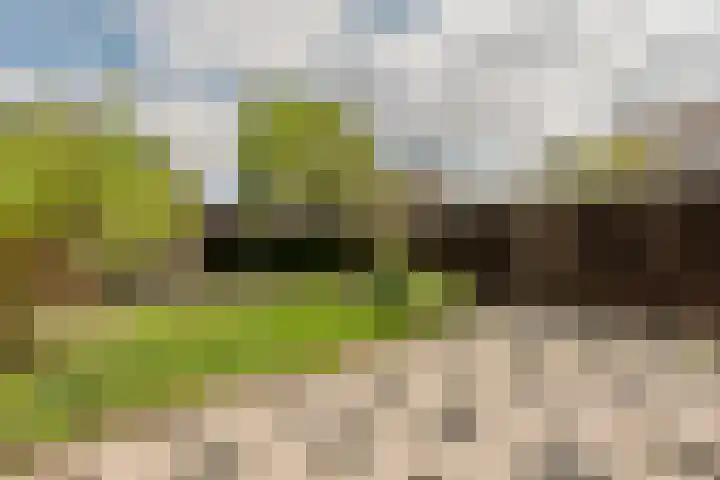 Kranenbroekhof 2 Zaandam thumbnail 30