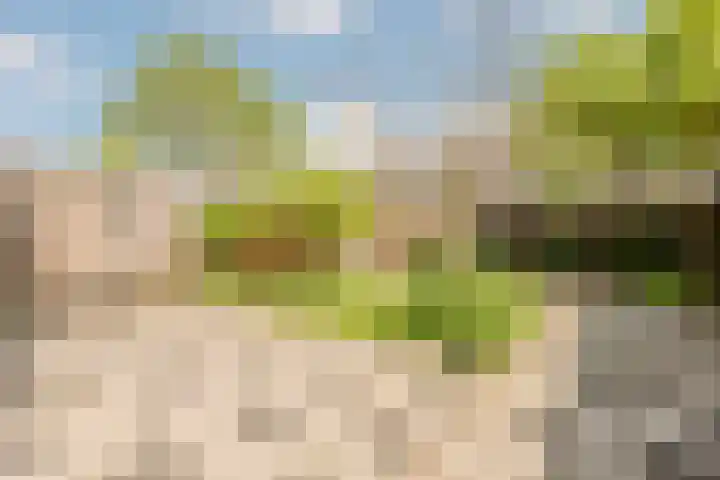 Kranenbroekhof 2 Zaandam thumbnail 32