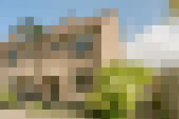 Kranenbroekhof 2 Zaandam thumbnail 35