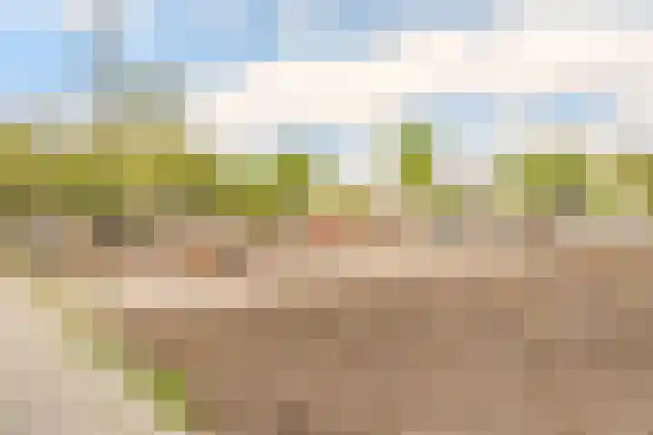 Kranenbroekhof 2 Zaandam thumbnail 36