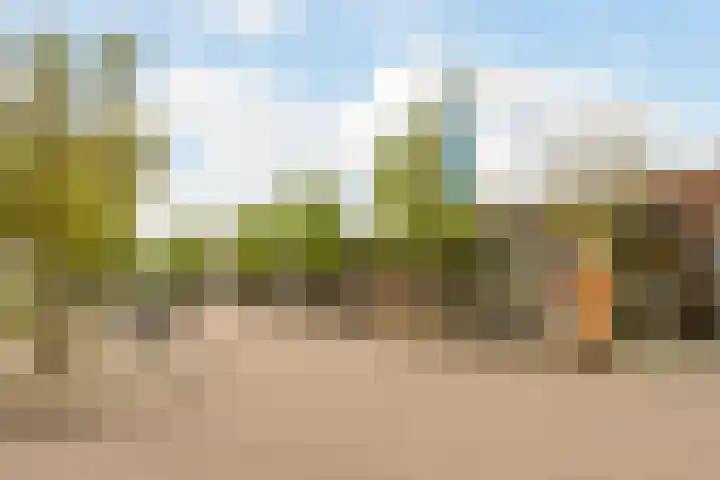 Kranenbroekhof 2 Zaandam thumbnail 38