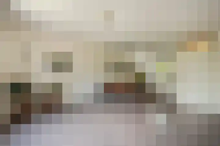 Kranenbroekhof 2 Zaandam thumbnail 4