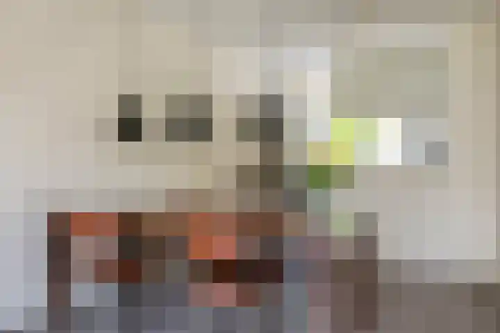 Kranenbroekhof 2 Zaandam thumbnail 6