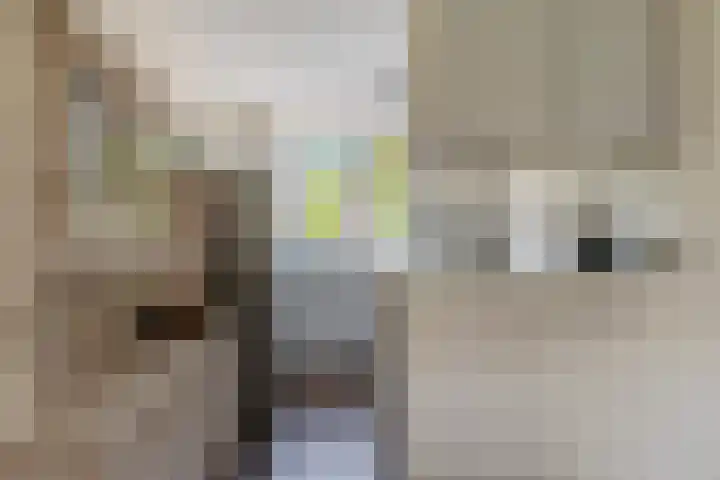 Kranenbroekhof 2 Zaandam thumbnail 8