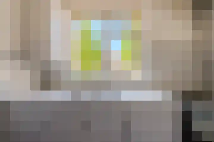 Kranenbroekhof 2 Zaandam thumbnail 9