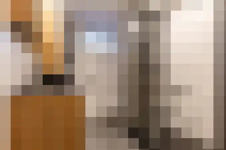 Kranenbroekhof 3 Zaandam thumbnail 23