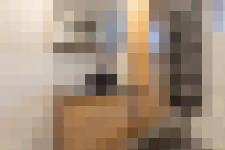 Kranenbroekhof 3 Zaandam thumbnail 24